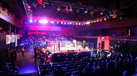 Colourful illumination is at a boxing Stock Video Pond5