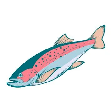 Colourful line trout Stock Illustration