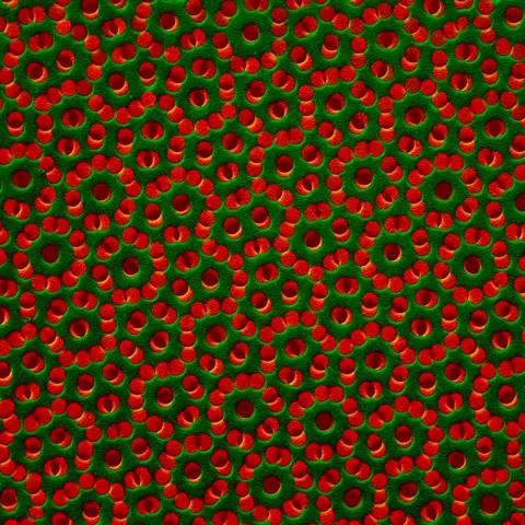 Colourful looping green &amp; red abstract background design with changing patterns 스톡 동영상 233195815