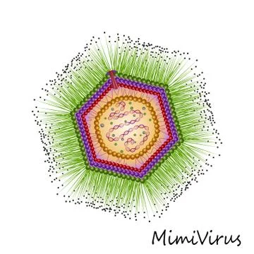 Colourful Mimi virus particle structure isolated Stock Illustration