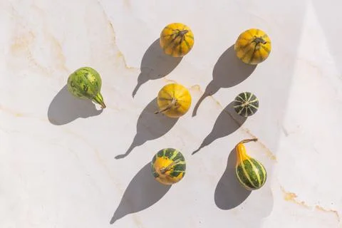 Colourful mini pumpkins on white background, top view, flat lay. Dark shadow Foto stock