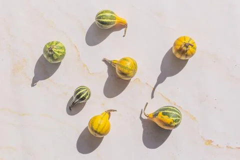 Colourful mini pumpkins on white background, top view, flat lay. Dark shadow Stock Photos