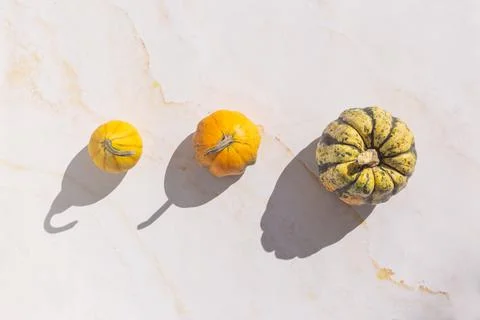 Colourful mini pumpkins on white background, top view, flat lay. Dark shadow Stock Photos