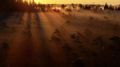 Colourful mist Stock Footage 314879928