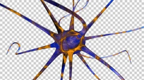 Colourful nerve cell Stock Footage 49176930