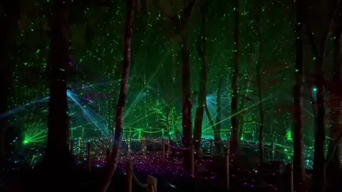 Colourful night laser light presentation in forest of Longford Parc Video stock 328626795