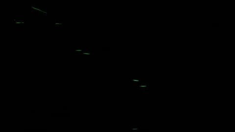 Colourful Parallel Moving Lights Stock-Footage 153553489