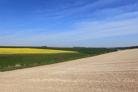 Colourful patchwork farming landscape in springtime 스톡 사진