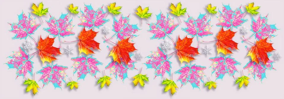 Colourful pattern of autumn maple tree leave Stock Photos