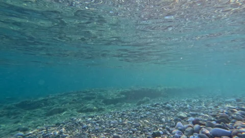 Colourful Pebbles Under Crystal Clear Water Surface 動画素材 321132245