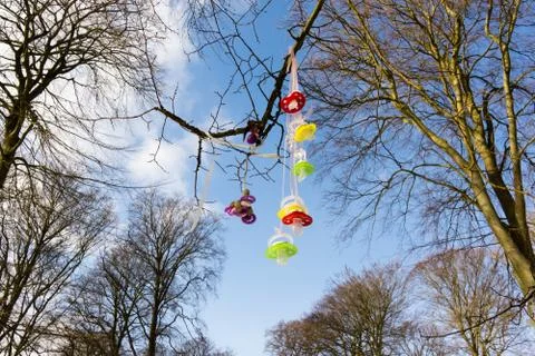 Colourful plastic pacifiers hanging in a tree Stock Photos