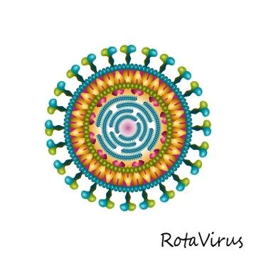 Colourful Rota virus particle structure isolated Stock Illustration