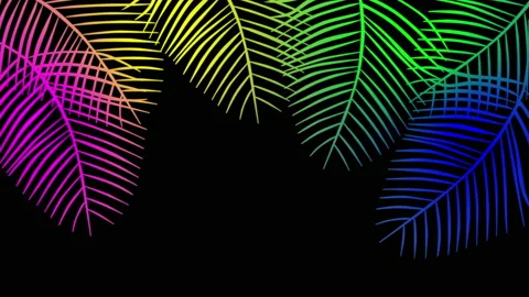 Colourful seamless loop animation of coconut palm leaves. Frame, copy space Stock Footage 163450221