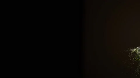 Colourful splashes moving chaotically on the dark background. Stock Footage 131160933