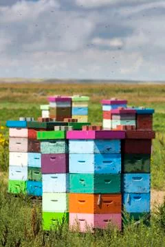 Colourful stacked bee hive boxes in a field with clouds above, North of Rolling Fotos Stock