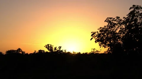 Colourful Sunset In The Jungle 4K 動画素材 240646684