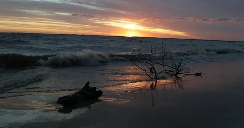 Colourful sunset scene at sandy beach with sillhuete of tree brunches Stockbeeldmateriaal 119063796