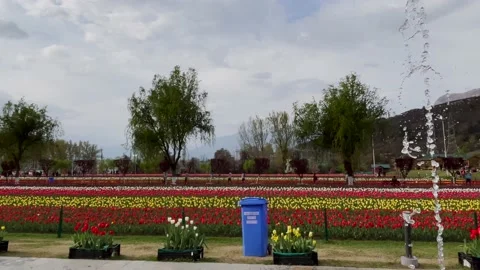 Colourful symmetric patterns botanical kaleidoscope mandala geometry wallpa.. Stock Footage 237587053