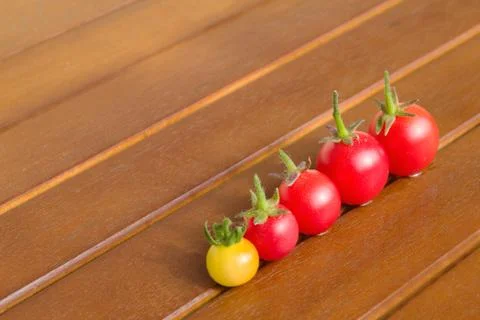 Colourful tomatoes on a table Stock Photos