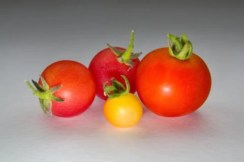 Colourful tomatoes on a table Stock Photos