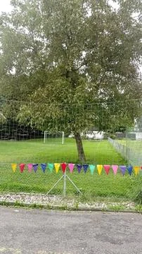 Colourful triangular flags hanging under tree on green grass festive outdoor Stock Photos