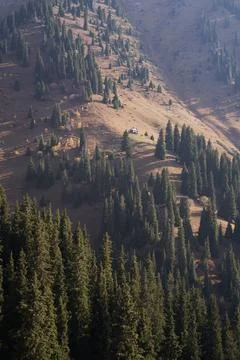 Colourful vertical landscape with view of tiny mountain house built on slope. Stock Photos