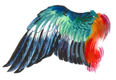 Colourful wing Illustrazione stock