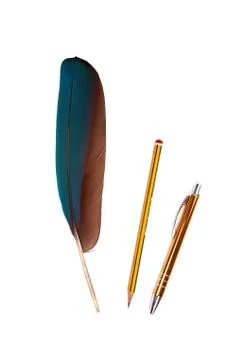 Colourfull feather of parrot Stock Photos