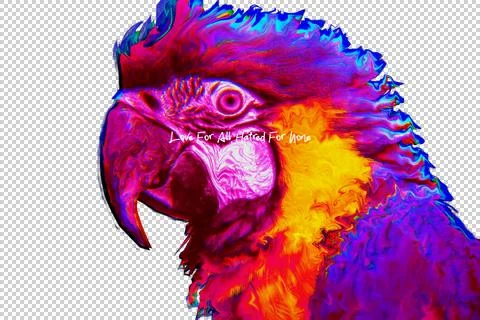 Colourfull parrot Stock Photos