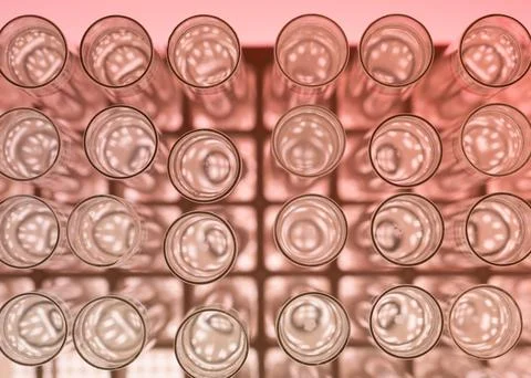 Colourless solution in test-tubes in a stand Stockfoto's