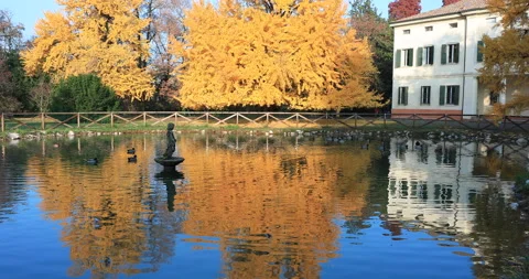 Colours of autumn Stock Footage 165501438