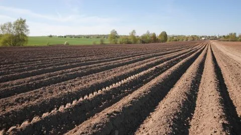 Colours of spring - ploughed field ready to sow. Agricultural fields in Russia. Stock Photos