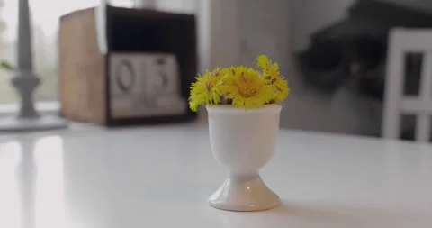 Coltsfoot in an egg cup on a kitchen table Stock Footage 176843560