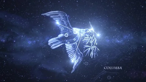 Columba (the Dove) Constellation Star Map Animation Stock Footage 333275601