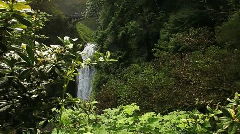 Columbia gorge waterfall Stock Footage 1037504