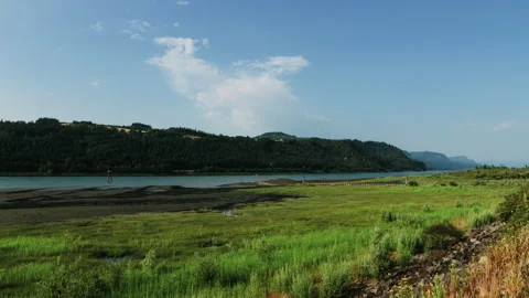 Columbia River clouds and grass Stock Footage 154930071