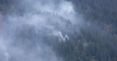 Columbia River Gorge Fire. Stock Footage 139940287