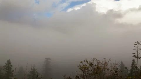 Columbia River Gorge with Low Clouds and Fall Colors in Portland OR Timelapse Stock Footage 43107073