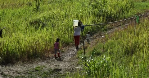 Columbian Amazon, a field on the edge of the forest 스톡 동영상 140311984