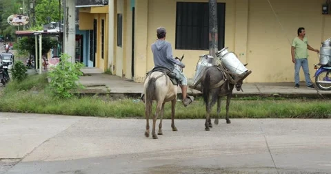 Columbian Amazon Stock Footage 140311990
