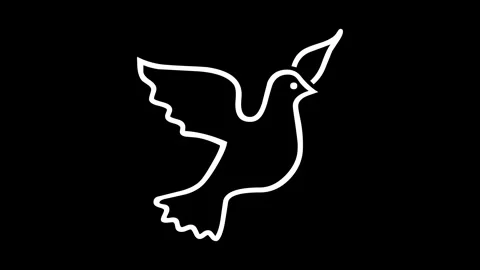 Columbidae shape icon animation white color in black background Stock Footage 264644018