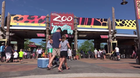 Columbus Zoo Halloween 2022