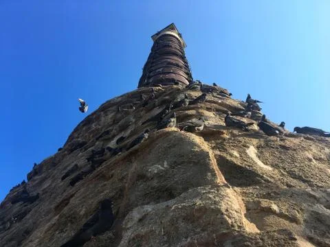 The Column of Constantine and pigeons on it at Istanbul, Turkey. Foto stock