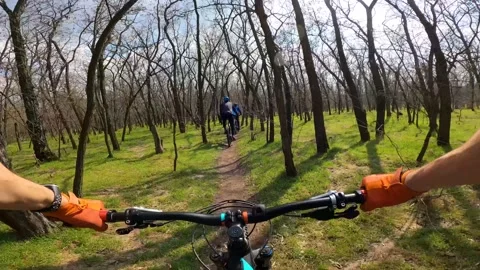 A column of cyclists rides along a forest path. First-person view. Stock Footage 151547309