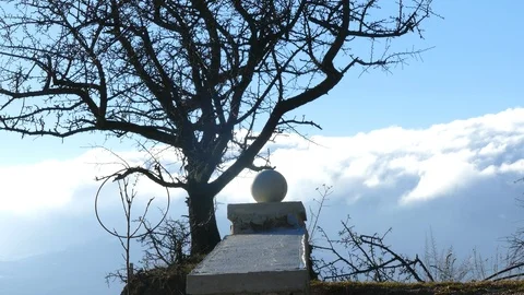 A column leading to a tree standing against sky Stock Footage 123585528