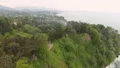 Column of smoke comes of density of trees, summer fires due to high temperatures HD Footage