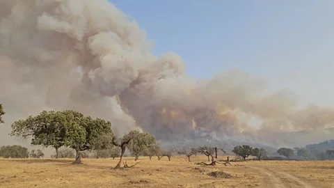A column of smoke from a large forest fire rises into the sky. Stock Footage 330925557