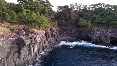 Columnar Joint Rock Inlet and Waves│Jogasaki Aerial Stock Footage 329061537