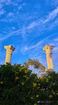 Columns amidst blooming yellow elder bushes under a sunset sky Stock Photos