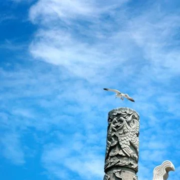 Columns and Seagull Stock Photos